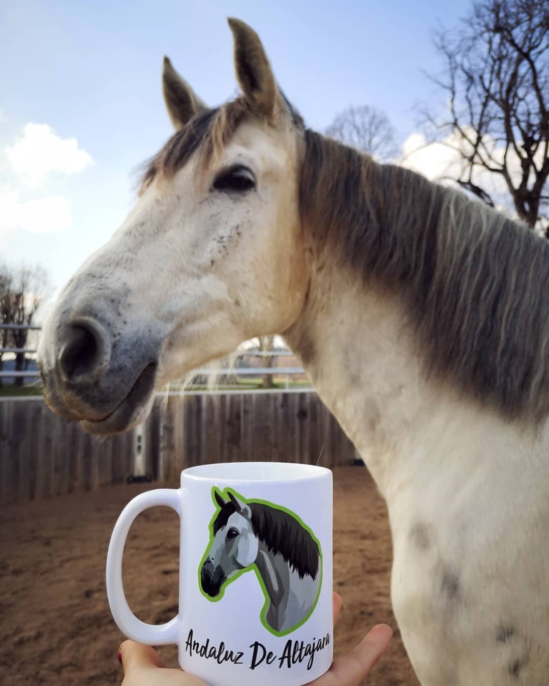 Personalized Horse Mugs